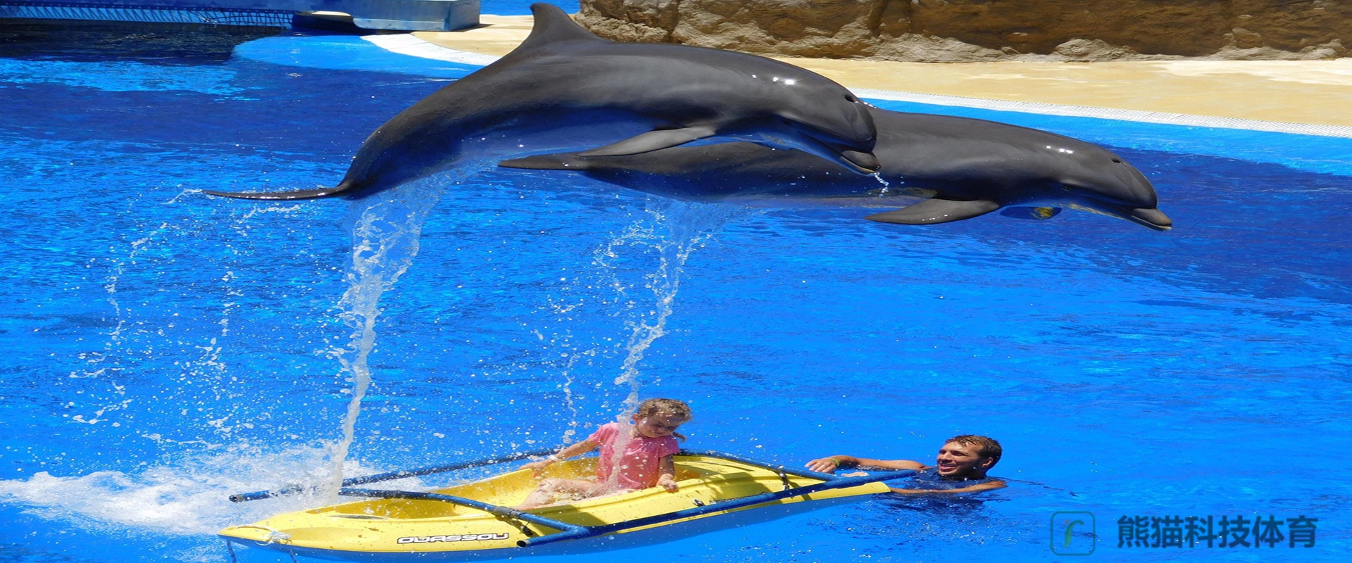 熊猫体育科技股份有限公司 海豚推进鳍展示图1