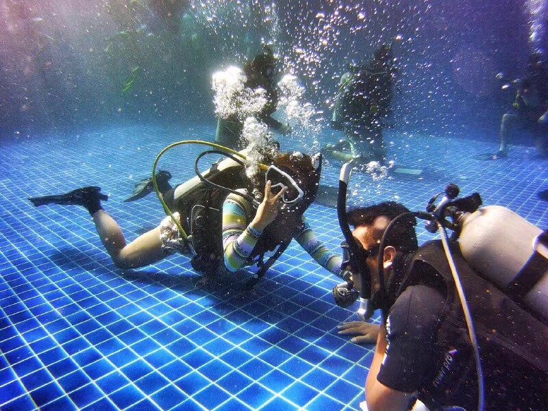 游泳爱好者必备：夏季泳熊猫体育赛事合作装和配件推荐(图1)