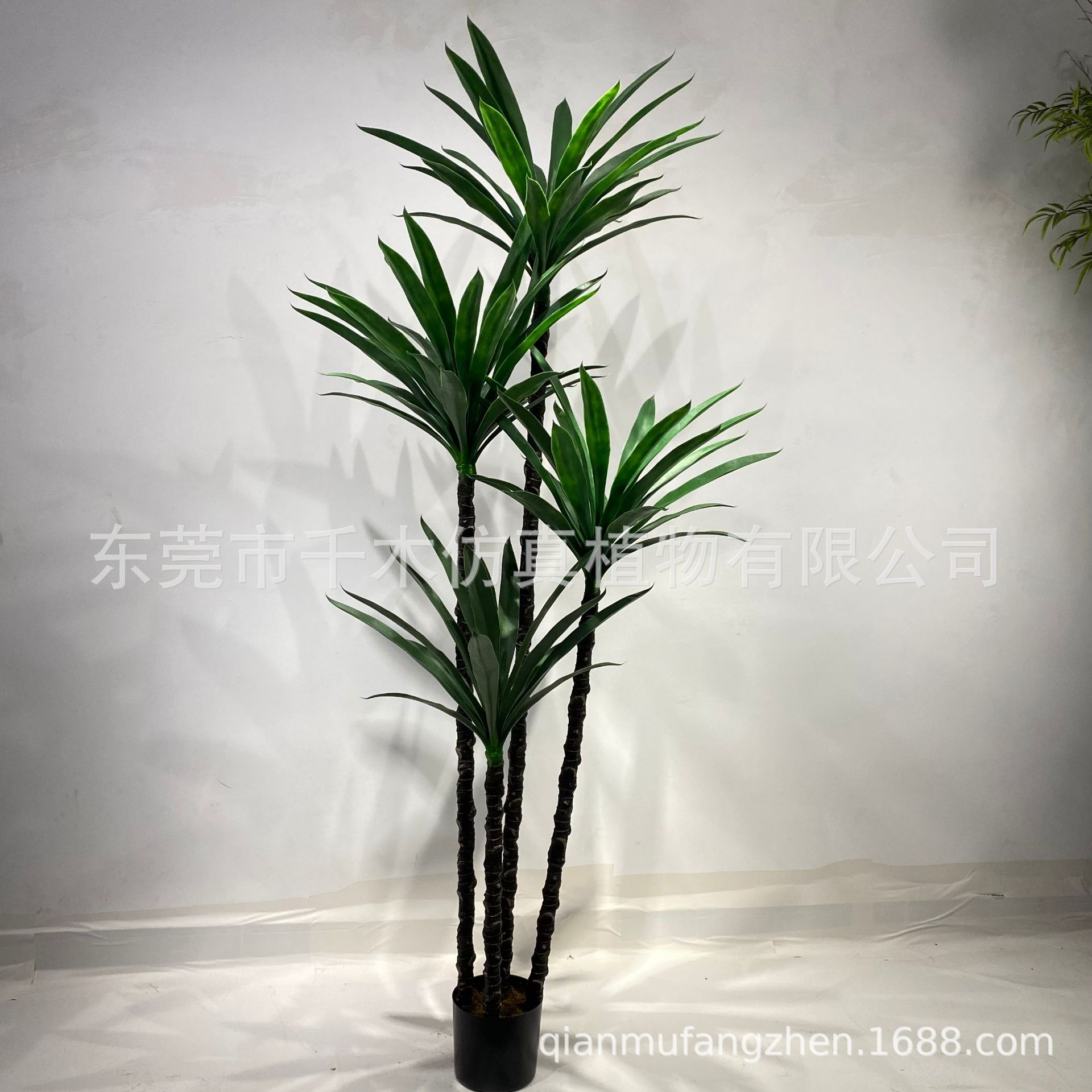 天极网_专业IT门户(图1)