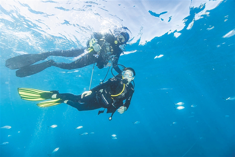 游泳装备领域优选深圳市鸿鑫达电子科技多款专业游泳耳机满足多样训练需求(图1)