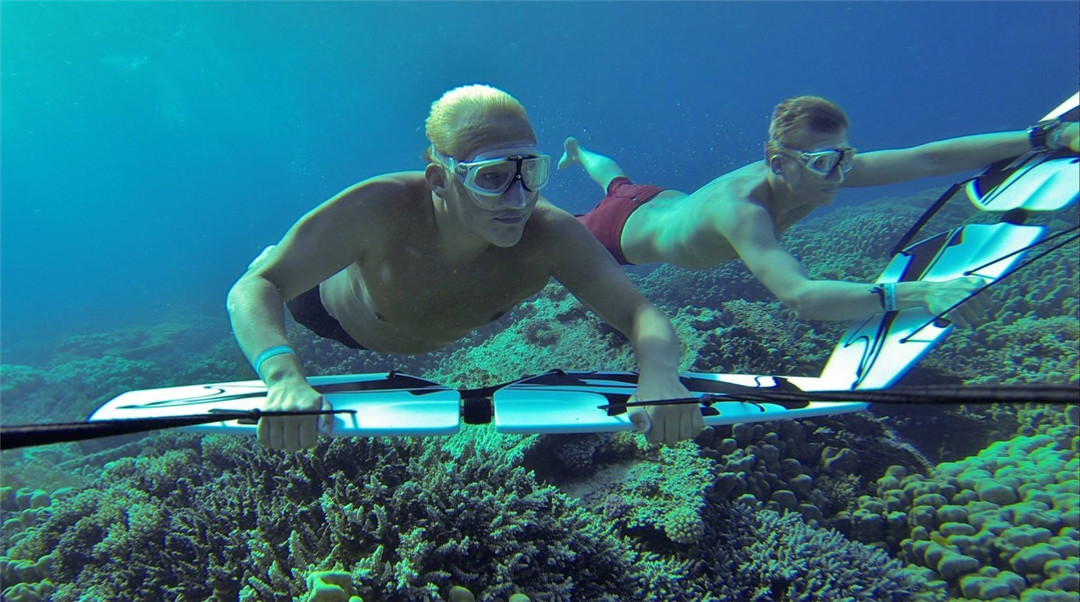 熊猫体育官方网站美国政府以威胁国家安全为由发布行政令强制与中国有关联公司剥离涉美芯片资产(图1)